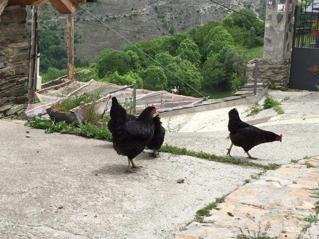 Lo Paller De Roc Montescladó Dış mekan fotoğraf